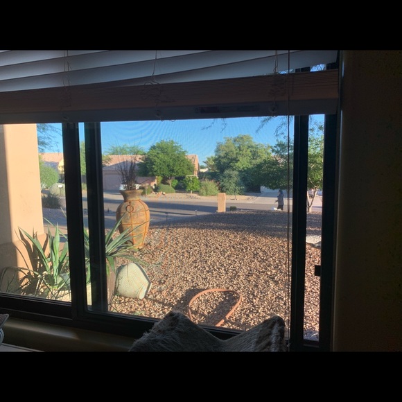 Meet your Posher, Liz - Picture 1 of 1